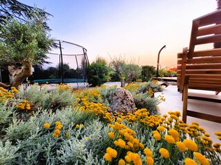 Ferienhaus Tar Außenaufnahme 10