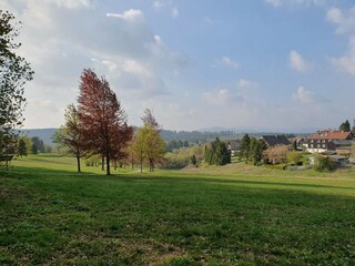 Blick vom Park (50m Entfernung zum Haus)