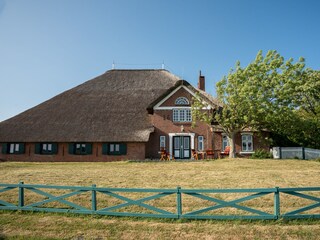 Knutzenswarft, Vorderansicht
