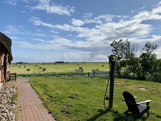 Knutzenswarft, Blick in die Ferne
