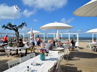 Vakantieappartement Bergen aan Zee Omgeving 15