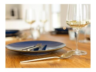 Maison de vacances Nordhorn Équipement 13