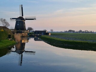 Casa per le vacanze Sint Maarten Ambiente 35