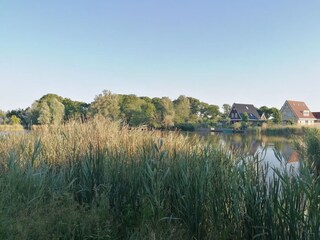 Casa per le vacanze Sint Maarten Ambiente 28