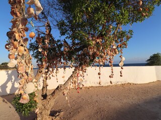 Appartamento Porches Ambiente 35