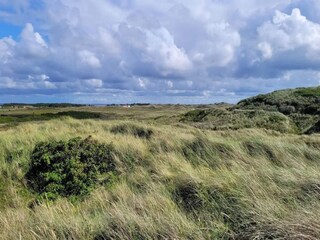 Maison de vacances Bjerregård  50