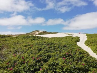 Maison de vacances Bjerregård  25