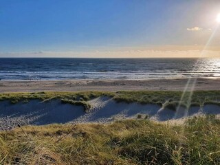 Ferienhaus Bjerregård  41