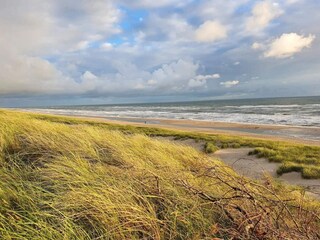 Maison de vacances Bjerregård  49