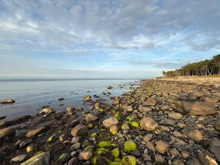 Casa de vacaciones Dronningmølle  10
