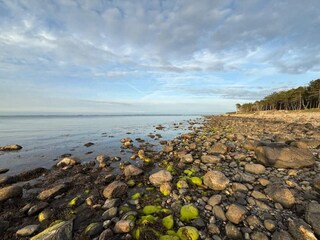 Ferienhaus Dronningmølle  19