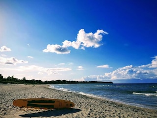 Ferienhaus Dronningmølle  51