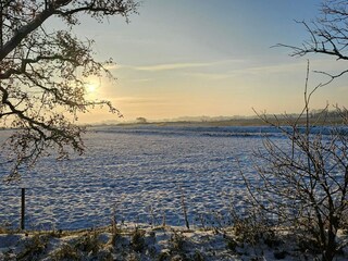 Maison de vacances Højer  30