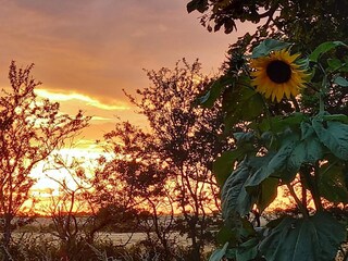 Maison de vacances Højer  16