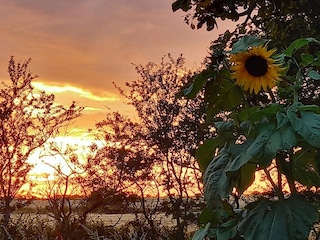 Maison de vacances Højer  17