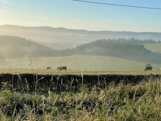 Holiday house Vresse-sur-Semois Outdoor Recording 3
