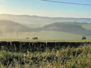 Maison de vacances Vresse-sur-Semois Enregistrement extérieur 6
