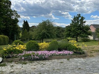 Vakantiehuis Vresse-sur-Semois Buitenaudio-opname 9