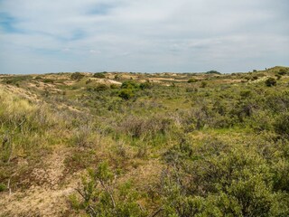 Parque de vacaciones Noordwijk Entorno 15