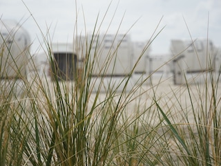 Am Strand