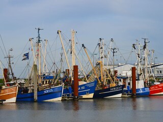 Am Hafen
