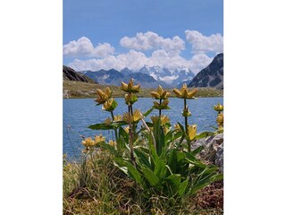 Chalet St. Moritz Environnement 38