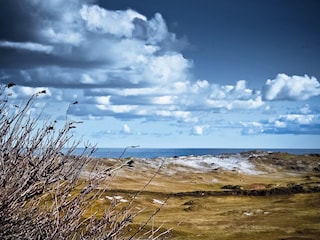 Dünen