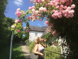 Vakantieappartement Klosterneuburg Buitenaudio-opname 6