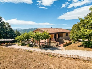 Type de propriété : Ferme Apecchio Enregistrement extérieur 8