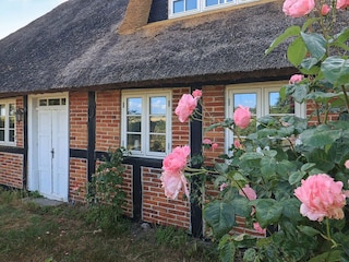 Maison de vacances Maribo  8
