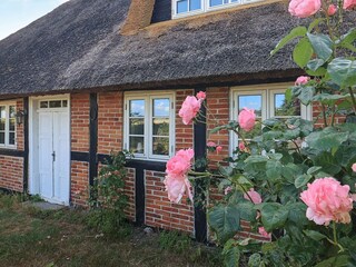 Vakantiehuis Maribo  33