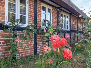 Vakantiehuis Maribo  21