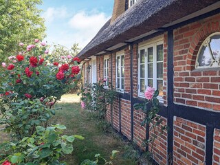 Ferienhaus Maribo  13