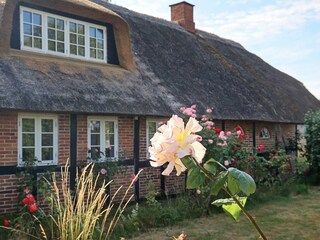 Casa per le vacanze Maribo  17