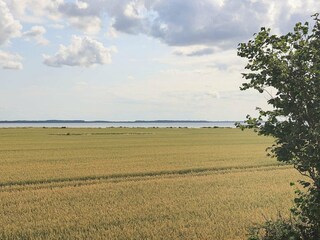 Holiday house Maribo  28