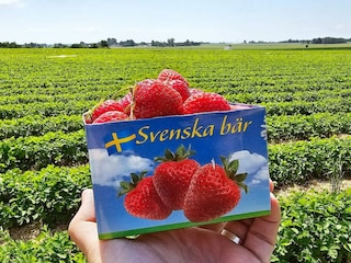 Holiday house Åhus  21