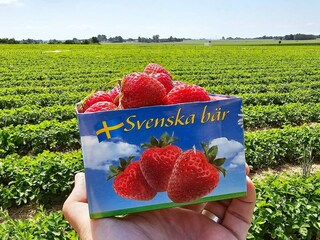 Holiday house Åhus  18