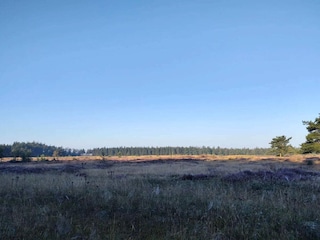 Casa per le vacanze Hovborg  9