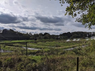 Casa per le vacanze Hovborg  31