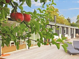 Ferienhaus Ulvshale  17