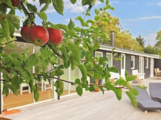 Vakantiehuis Ulvshale  8