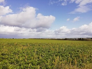 Maison de vacances Ulvshale  24