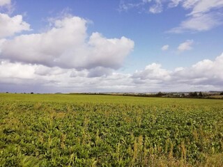 Ferienhaus Ulvshale  31