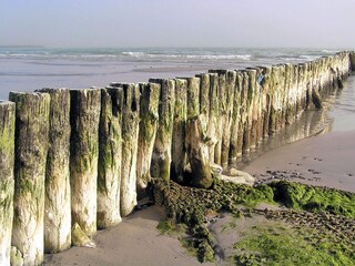 Ferienhaus Ulvshale  37