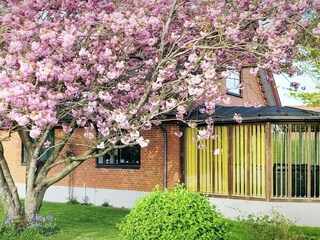 Ferienhaus Ørding Außenaufnahme 3