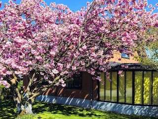 Ferienhaus Ørding Außenaufnahme 5