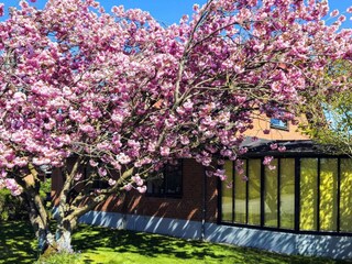 Holiday house Ørding Outdoor Recording 6