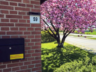 Casa per le vacanze Ørding Registrazione all'aperto 6