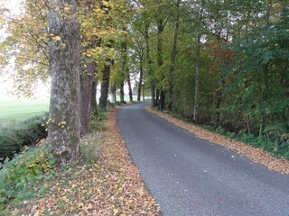 Casa per le vacanze Ørding  27