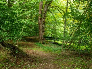 Ferienhaus Ørding  26